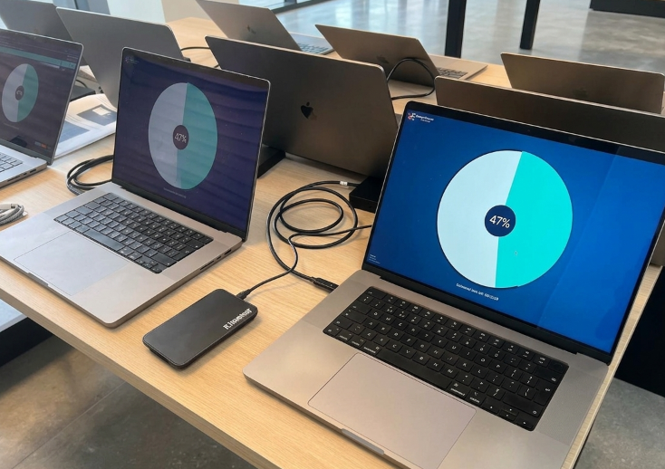 Softwarematige Vernietiging